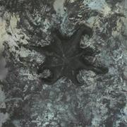 Symbol12_card