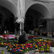 Img_2256_card