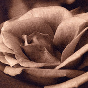 Ex_card