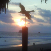 Beach_zipolite4_card