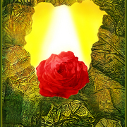 Enchanted_morning_card