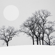 Wolf_moon_card