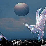 Dimentionoflight_2_card