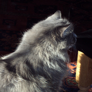 Dsc00626a_card