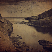 Shore_card