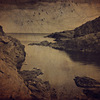 Shore_thumb