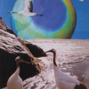 My_art_3-2010_020_card