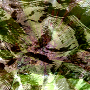 Water_shadows_5_card