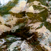 Water_shadows_3_card