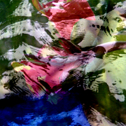 Water_shadows_2_card