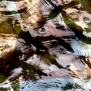 Water_shadows_1_card