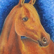 Pejko_card