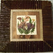 100_0472_card