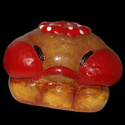 Punkyfungy_inset_card