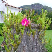 Imagem_032_card