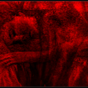 Lonely_tonight_card