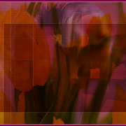 Never_let_you_down_ii_card