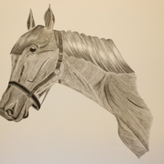 Img_0907_card