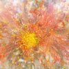 Img_3942__800x600__thumb