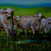 P1000231_card