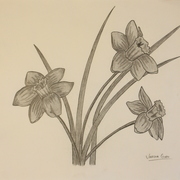 Img_0923_card
