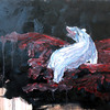 Whale_bones_thumb