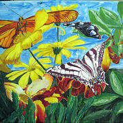 Butterfly_babes_002-1_card