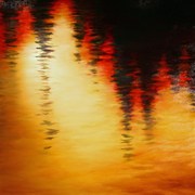 Untitled_5_card