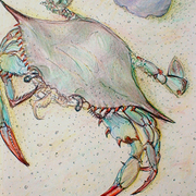 What-a-crab_copy_card