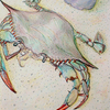 What-a-crab_copy_thumb
