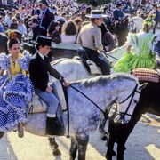 _________card