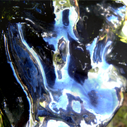 Www10