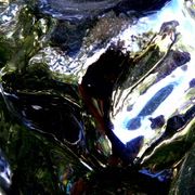 Www5