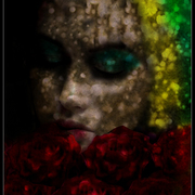Wind_of_spring_card