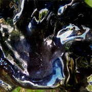 Www9
