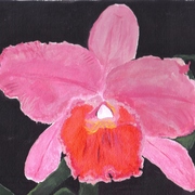Orchid__3-11-10_card
