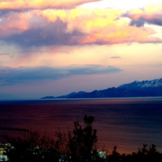Imgp0947_card