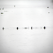 Flood_5aa_card
