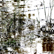 Flood_3_card