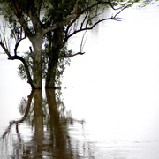 Flood_1_card