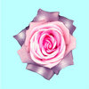 Roseblue_thumb
