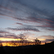 Sunrise-1-28-10_card