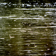 Flood_8_card
