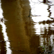 Flood_6_card