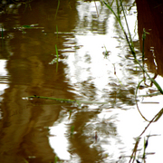 Flood_5_card