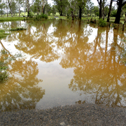 After_flood_card