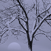December_moon_card