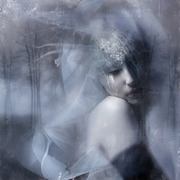 Winter_1_card