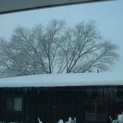 Dscf0118_card