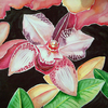 Orchid_watercolor_optimized_thumb
